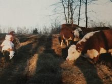 Grandpa introducing Alyssa to the cows 1988